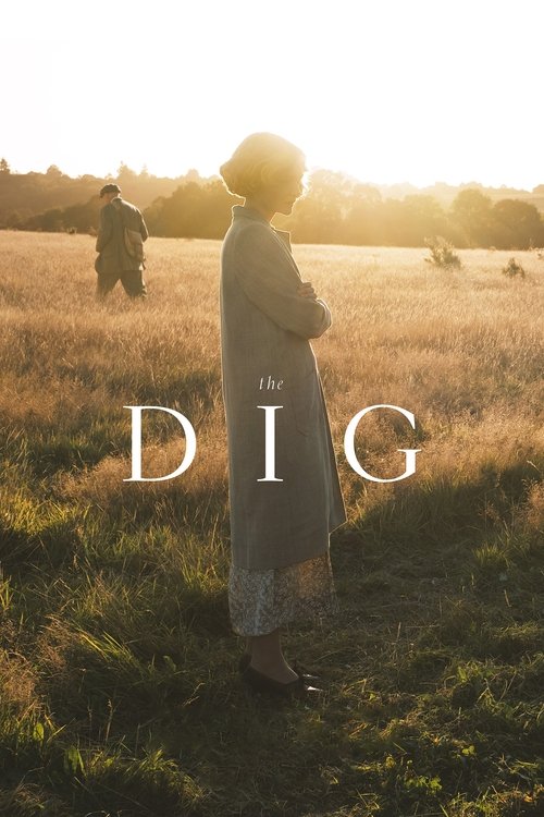 Póster de The Dig