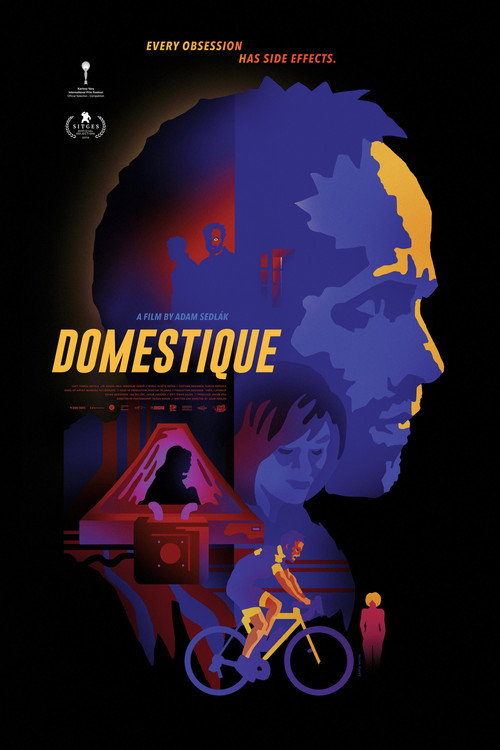 Póster de Domestique