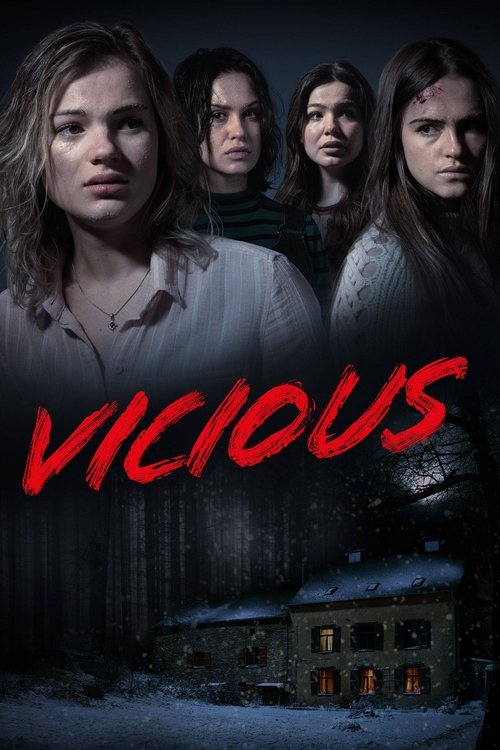 Póster de Vicious