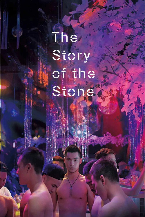 Póster de The Story of the Stone