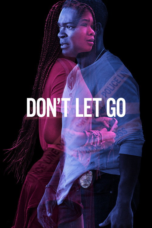 Póster de Don't Let Go