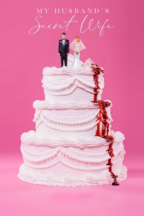 Póster de My Husband's Secret Wife