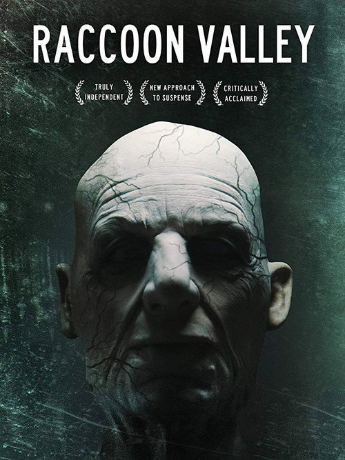 Póster de Raccoon Valley