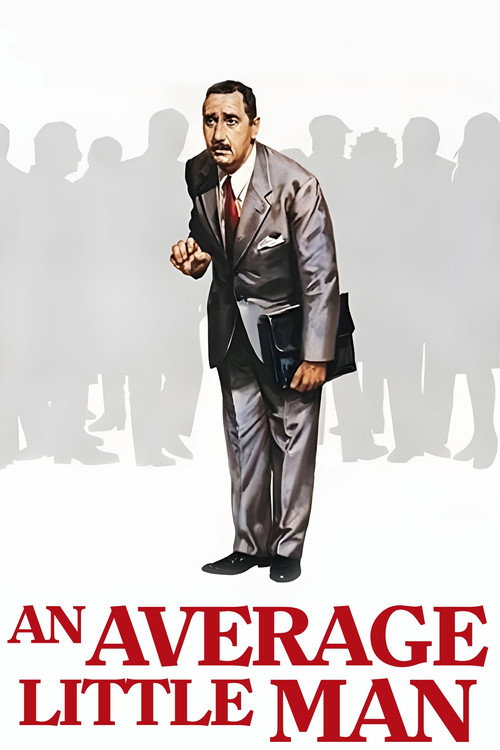 Póster de An Average Little Man