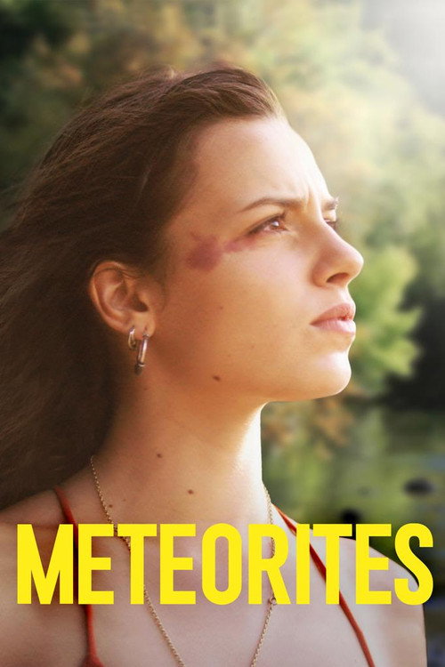Póster de Meteorites