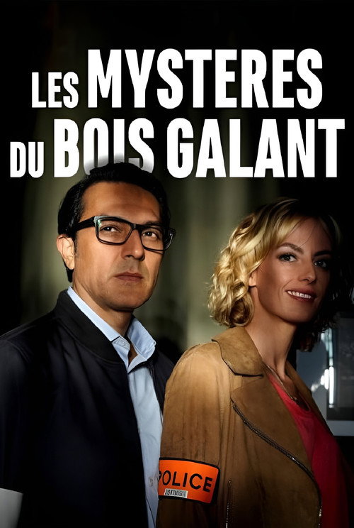Póster de Murder In Rochefort