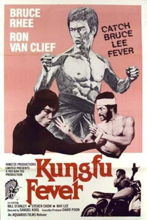 Póster de Kung Fu Fever