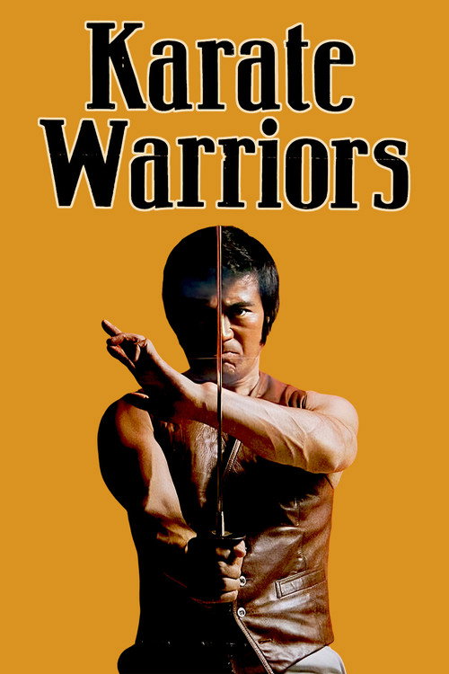 Póster de Karate Warriors