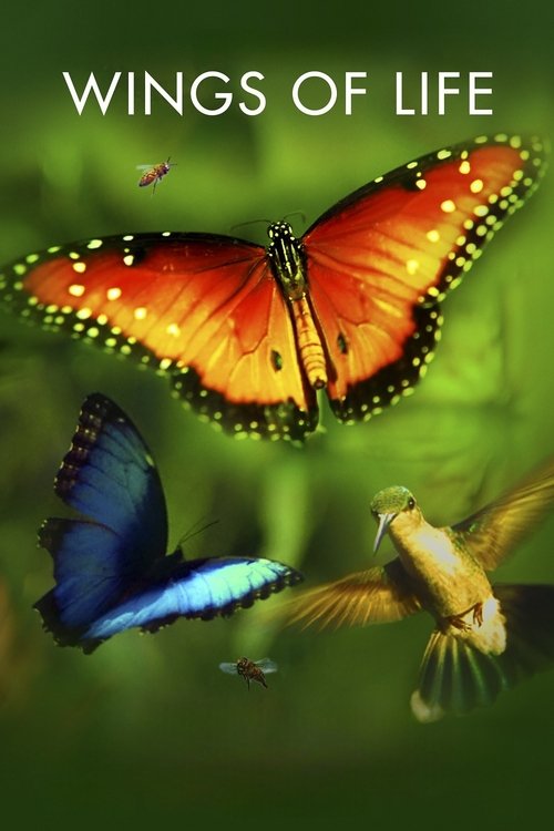 Póster de Wings of Life