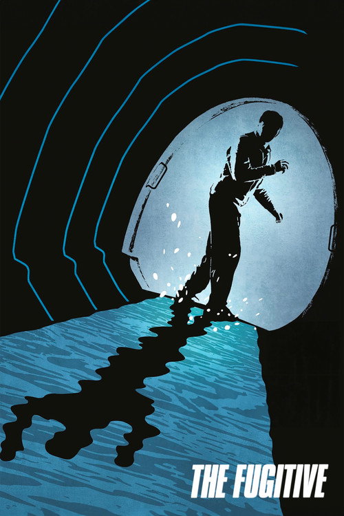 Póster de The Fugitive