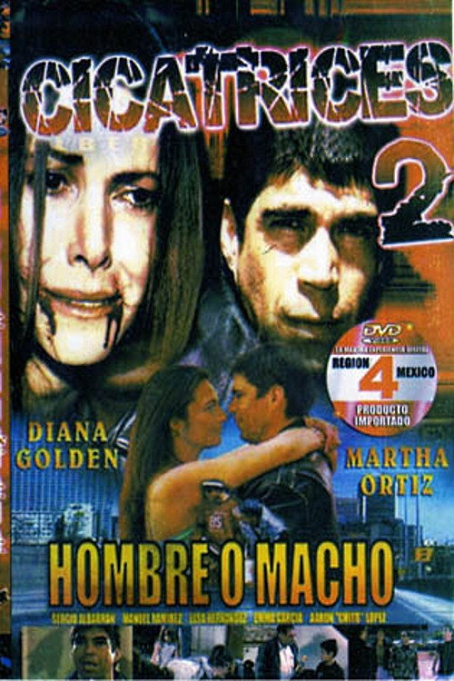 Póster de Cicatrices 2