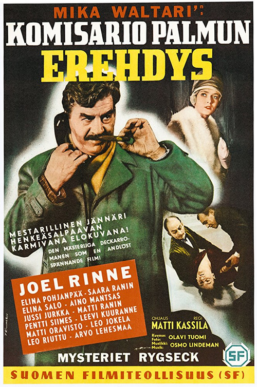 Póster de Inspector Palmu's Error