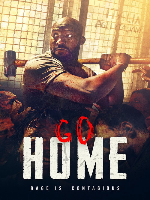 Locandina di Go Home - A casa loro