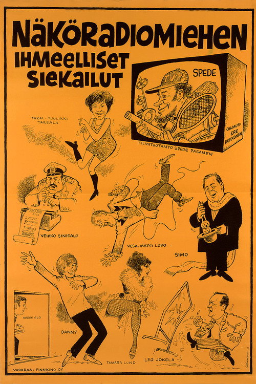 Póster de Näköradiomiehen ihmeelliset siekailut