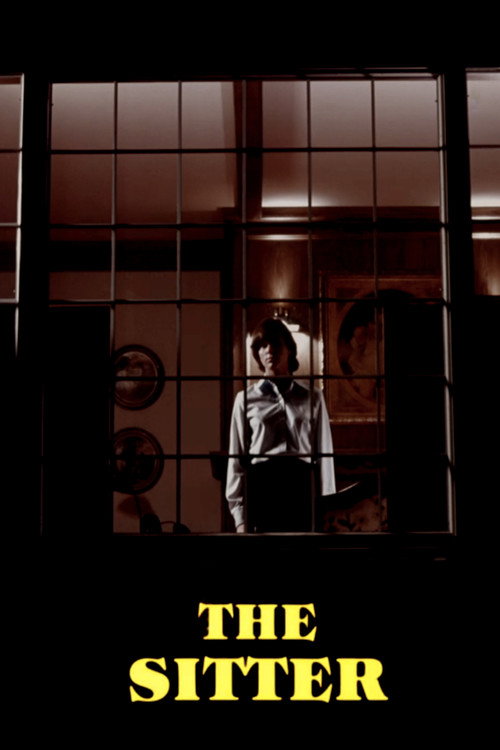 Póster de The Sitter