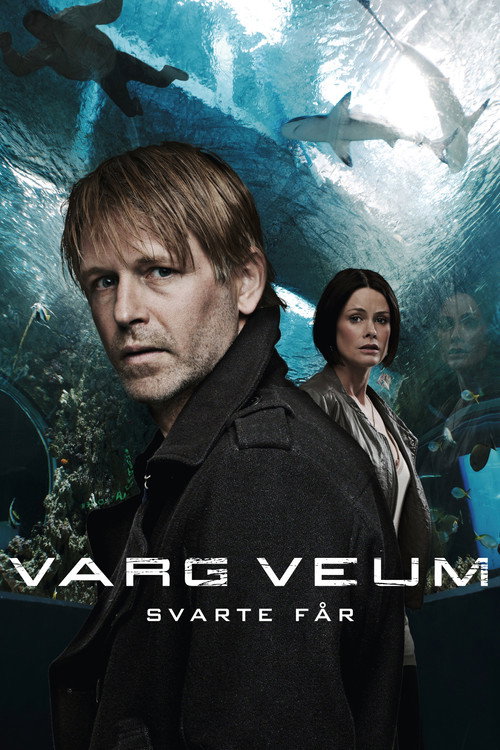 Locandina di Varg Veum - Black Sheep