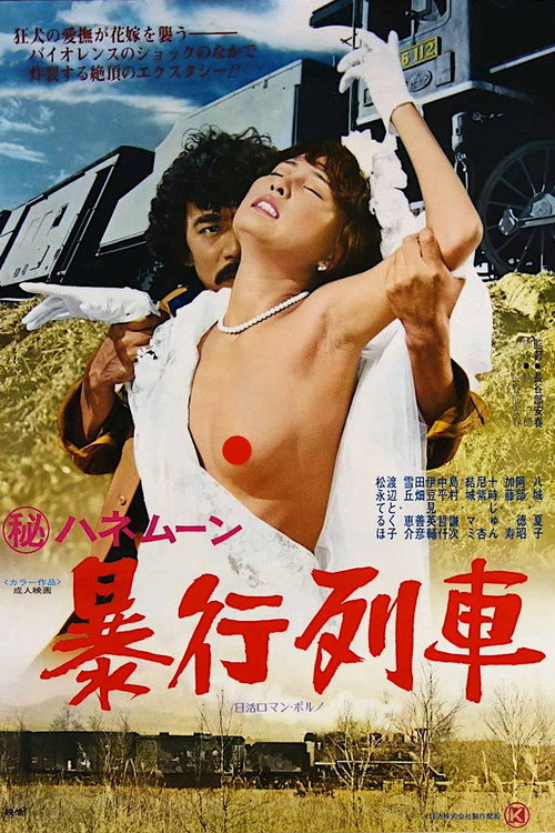 Póster de Secret Honeymoon: Assault Train