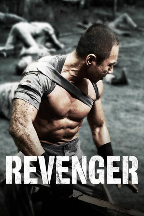 Póster de Revenger