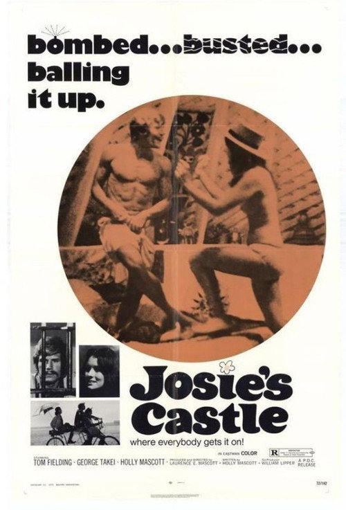 Póster de Josie's Castle