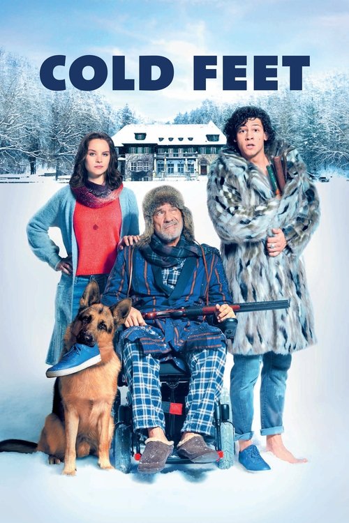 Póster de Cold Feet