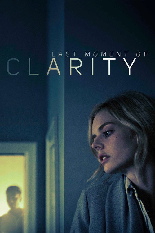 Póster de Last Moment of Clarity