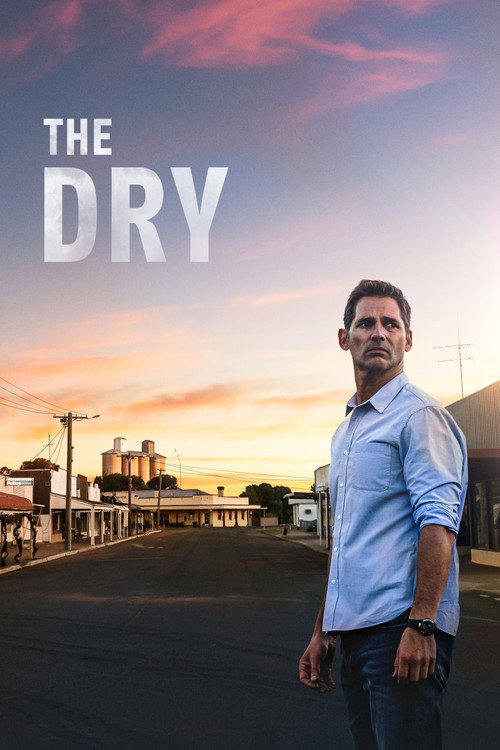 Póster de The Dry