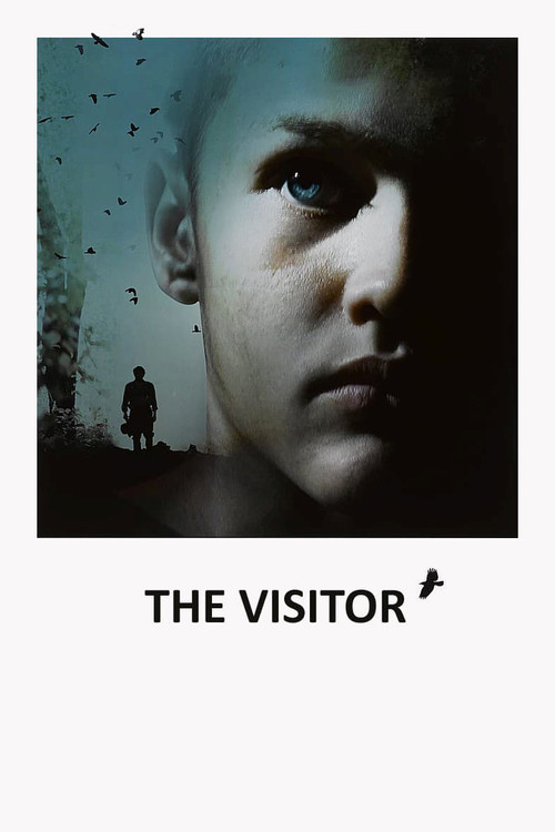 Póster de The Visitor