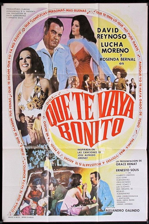 Póster de Que Te Vaya Bonito