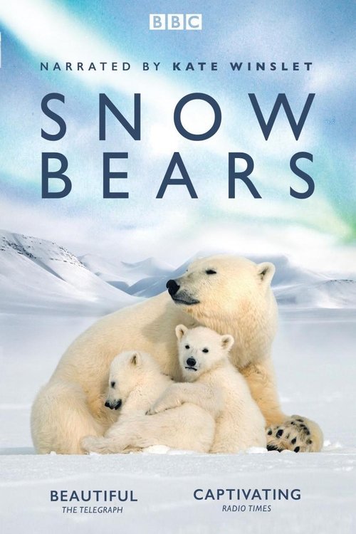 Póster de Snow Bears