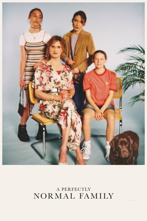 Póster de A Perfectly Normal Family