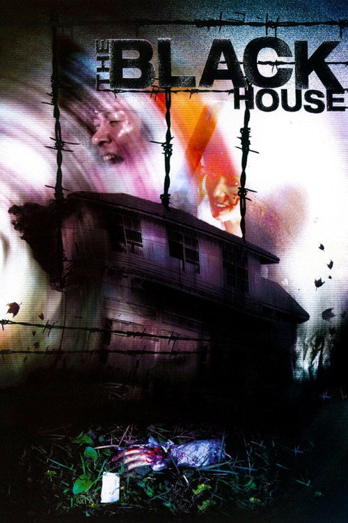 Póster de The Black House