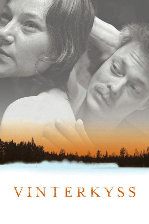Póster de Kissed by Winter