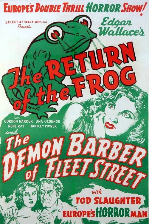 Póster de The Return of the Frog