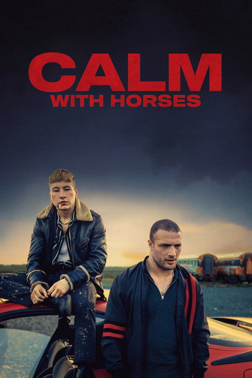 Póster de Calm with Horses