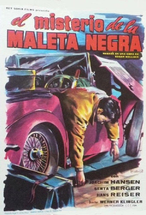 Póster de The Secret of the Black Trunk