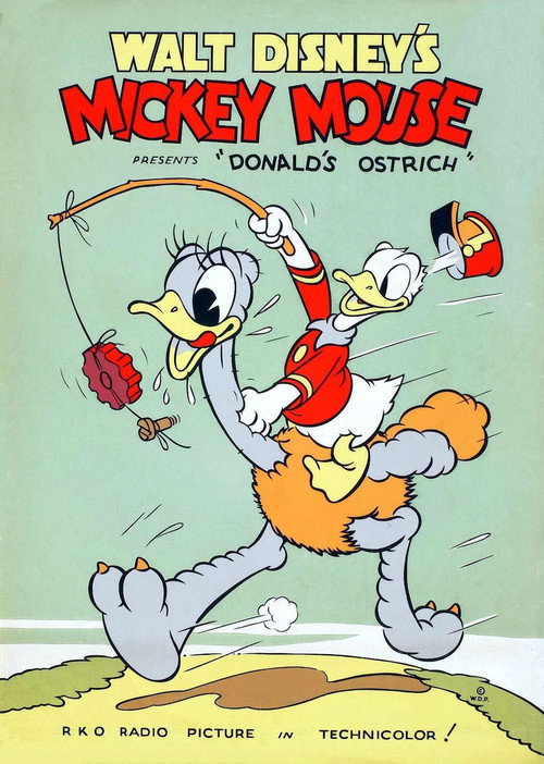 Póster de Donald's Ostrich