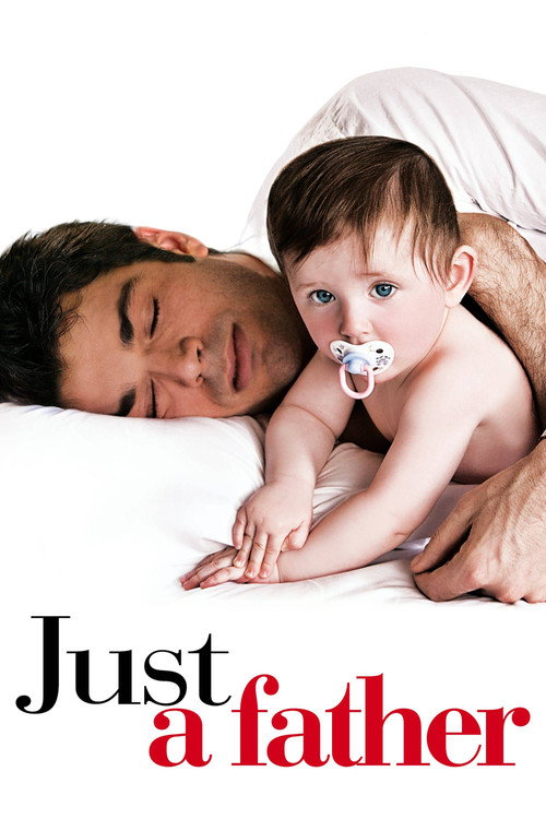 Póster de Just a Father