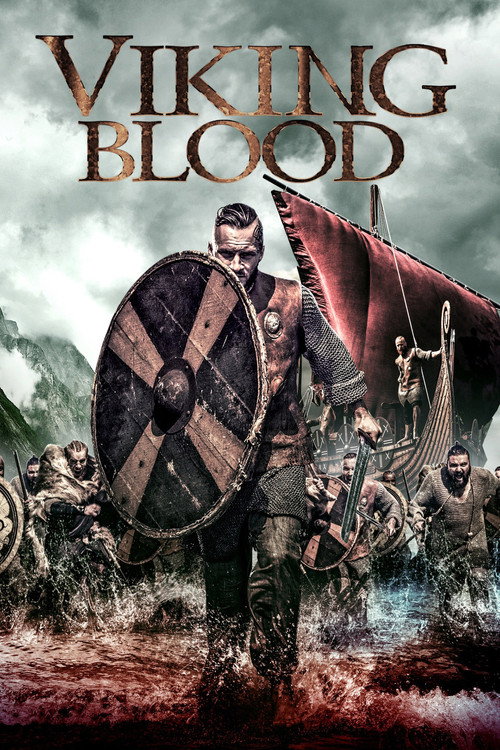 Póster de Viking Blood