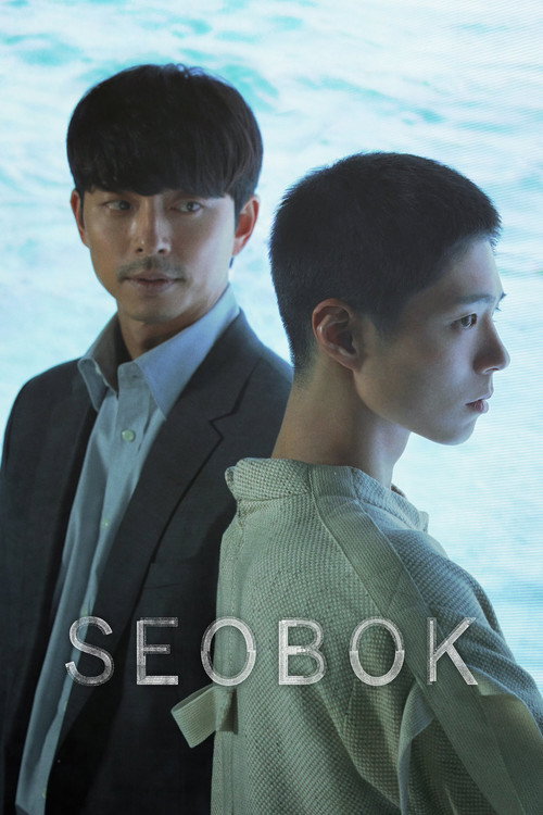 Póster de Seobok