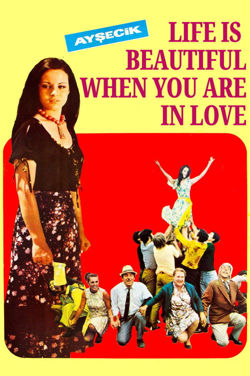 Póster de Life is Beautiful When You Are in Love