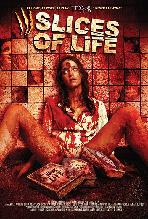 Póster de Slices of Life