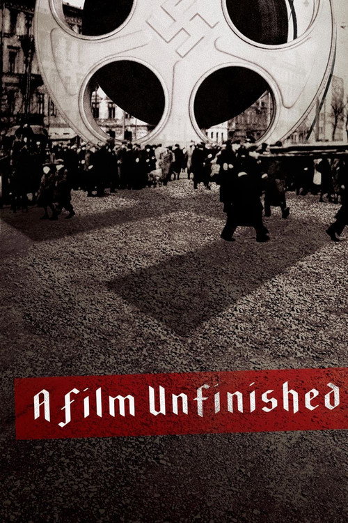 Póster de A Film Unfinished
