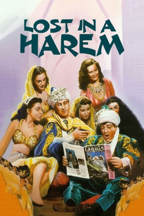 Póster de Lost in a Harem