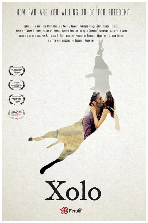 Póster de Xolo