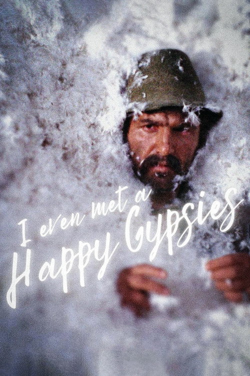 Póster de I Even Met Happy Gypsies