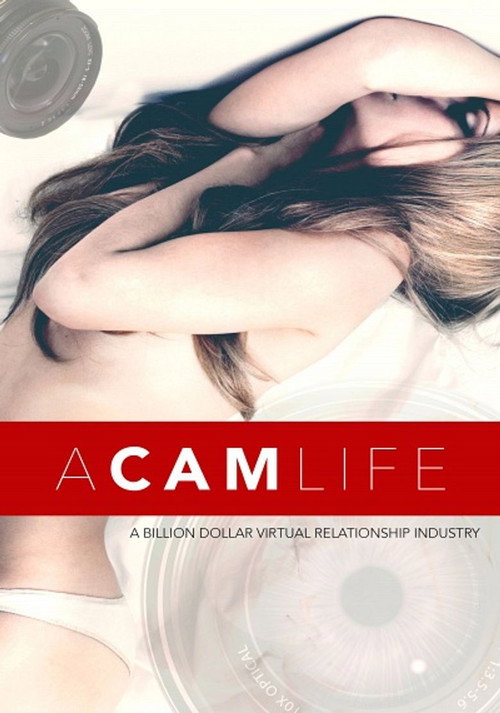 Póster de A Cam Life