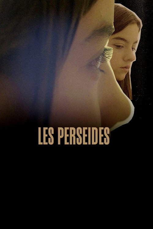 Póster de The Perseids