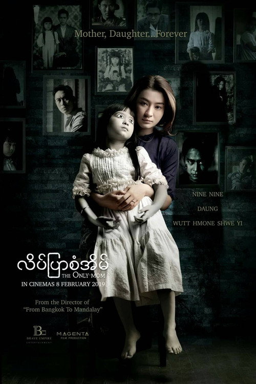 Póster de The Only Mom