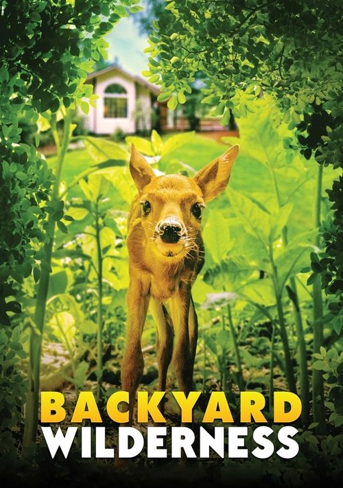 Locandina di Backyard Wilderness