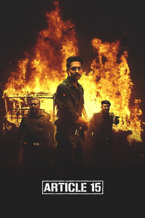 Póster de Article 15